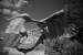 Metate Arch - Hole in the Rock Road, Utah - United States of America